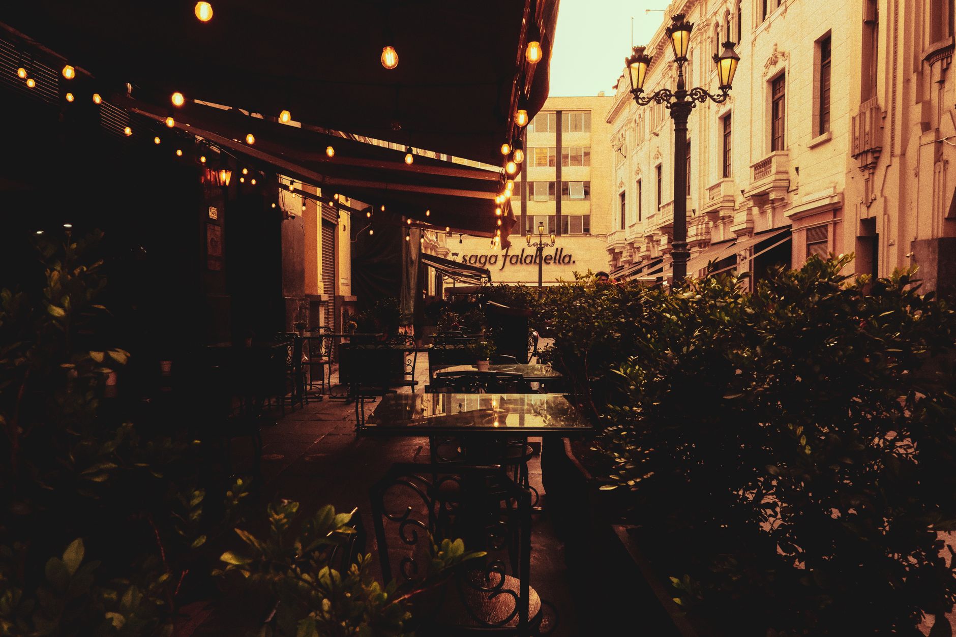 Seed Oil Free Restaurants Near Me